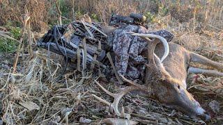 Filling Tags on a Cruising Iowa Buck!