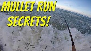 The SECRETS! To Fishing the Florida Mullet Run! (Tackle Tuesday)