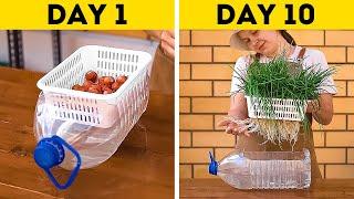 Valuable Gardening Hacks to Grow Your Own Plants And Vegetables