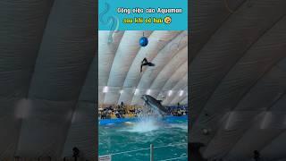 Công việc của aquaman sau khi nghỉ hưu 