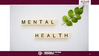 mHELP: Mental Health Evaluation and Lookout Program for College Students