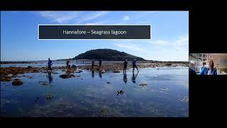 Tales of the Unexpected: Rockpooling in Looe