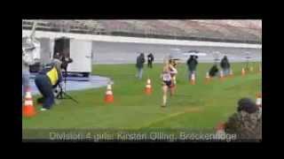 2013 Michigan High School Athletic Association cross country finals