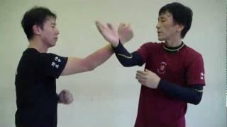 Jun Fan / Jeet Kune Do Trapping Skills