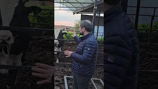 Hayvan Başına 12 Kilo Yem Tüketiminin Şaşırtıcı Sonuçları!