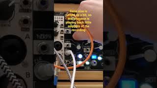 Using morphagene as a granular processor  #modularsynth #eurorack #morphagene #granularsynthesis