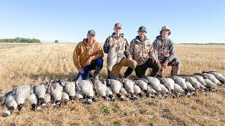 Goose Hunting 2020 (FINALLY GOT A BAND!)