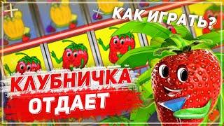 Дима опять выиграл в казино Вулкан! Клубнички отдали последние деньги!