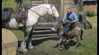 RDR2- All Horse Breeds Size Comparison - Biggest to Smallest Ranking