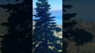 LAKE TAHOE LIVING #laketahoe #laketahoerealestate