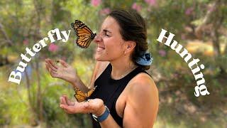 Chasing Monarch Butterflies in the Spanish mountains | Hiking Spain