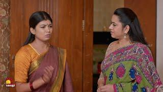 உங்க கல்யாண வீடியோ பார்க்கலாம் வாங்க... | Gauri Sneak Peek 2 | EP-246 | Kalaignar TV