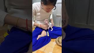 Adorable baby monkey #monkeylove #monkeybaby #adorable #adorablemonkey #babyanimal #monkeysmart