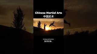 What is Chinese martial arts?#少林#shaolin #shaolinkungfu #chinesekongfu