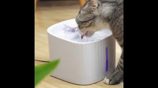 cat water fountain filter