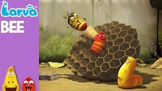 [Official] Bee - Mini Series from Animation LARVA