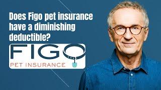 Does Figo pet insurance have a diminishing deductible