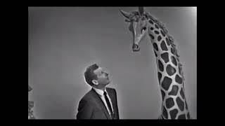 From Danny Kaye's show in Dick Van Dyk - 18 December 1963 - clip 1