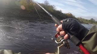 Caught a Nice Salmon Spinning On The South Tyne Quick Catch & Release after a Tough Day!!.