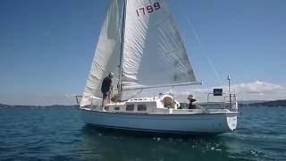 Compass 28 Cruising Yacht - Walkthrough