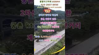(급매) 삼척시 근덕면 궁촌리 계획관리지역 토지 1,118평