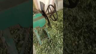 master agro