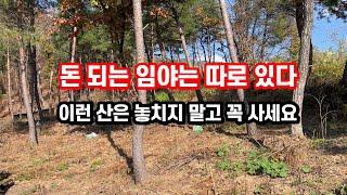묻지도 따지지도 말고 이런 임야는 무조건 OK 입니다~