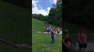 Vergessene Tierseelen e.V. - Maiwanderung 2017