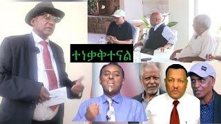 Maebel Mereja - ማዕበል መረጃ  is live!