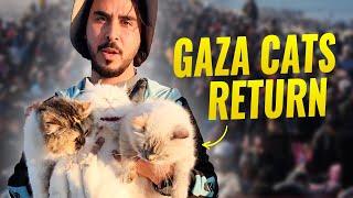 These Palestinians DID NOT ABANDON Their Pets!