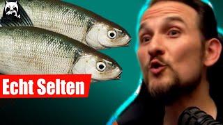 Russian Fishing 4 - Kuori - Kuori-Felchen mit Pose, Neuer Spot