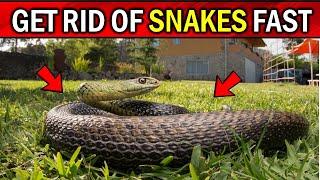 How To Get Rid of Snakes From Your Yard and Home Naturally