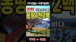 바다코앞 도로 전기 물 다 갖춘 나대지가 몽땅 1200만원
