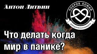 Что делать когда мир в панике? - Антон Литвин "Покров Божий"