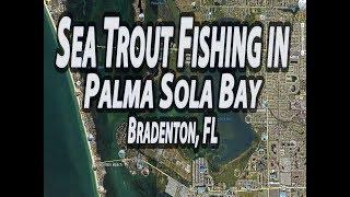 Sea Trout Fishing | Palma Sola Bay