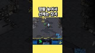정찰 늦어서 선캐논 짓기 #스타크래프트 #프로토스 #래더 #전략 #빌드