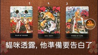 貓咪透露, 他準備要告白了️無時限新戀人占卜 / CC(Sub)EN-JP-TC