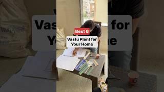 Best 6 Vastu Plant for Your Home #vastuplants #indoorplants #indoorplant