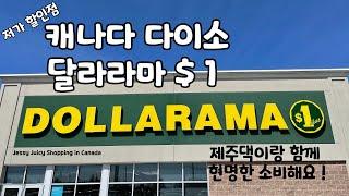 캐나다 다이소 달라라마 마트부터 가세요 ! | 캐나다 가성비 갑 생필품 파는 곳 ? | 캐나다 달라라마 DLLARAMA #dollarama #캐나다이민 #캐나다여행