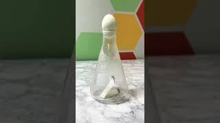 Egg in a Bottle Science Experiment