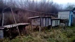 Обзор моего двора-2.