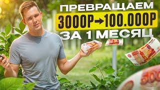 Бизнес с 3000 рублей на Авито. Пошаговая инструкция: с 3000 зарабатываем 100 000 рублей за 1 месяц