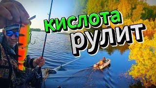 УЕХАЛИ за 200 км. В ТАЙГУ на РЫБАЛКУ.НАС ЗАКУСАЛИ.НАЛОВИЛИ ЩУК и ОКУНЕЙ. Клевало только на ЭТО.
