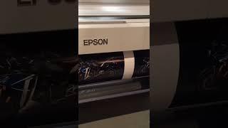 Epson SureColor P20000 Printer In Action