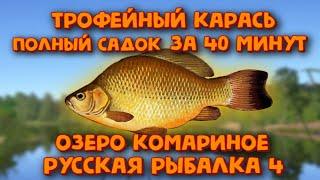 Трофейный карась на комарином. Садок за 40 минут. Отличный фарм! Фидер. Русская рыбалка 4. РР4.