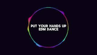 Put your hands up - Best Remix Dance Song 2024 l DJ Bruis