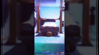 Pre Halloween & Diecast cars/ imaginationAutoworld, Hot Wheels, Halloween, horror, graveyardcarz