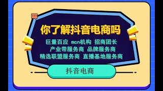 抖音电商平台巨量百应，商家，达人，服务商登录入口，各角色介绍和盈利途径。