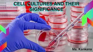 What are the types of Cell culture and their Significance | Biotechnology | General Medicine