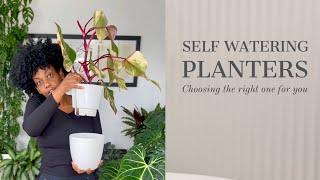 The Self Watering Planters I use for my Plant Collection